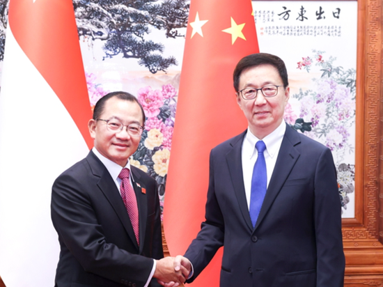 Chinese vice president, Singapore's parliament speaker meet in Beijing
