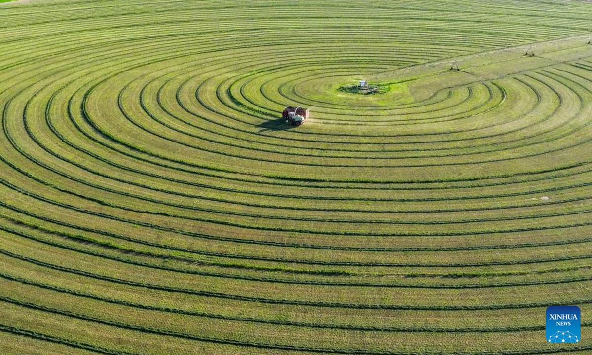 An aerial drone photo taken on May 31, 2026 shows a harvester and a truck at work in a forage field in Ar Horqin Banner, Chifeng, north China's Inner Mongolia Autonomous Region. In recent years, high-quality forage cultivation has helped curb grassland desertification in Ar Horqin Banner, which is now home to nearly 700,000 mu (about 46,667 hectares) of premium forage fields. (Photo by Li Fu/Xinhua)