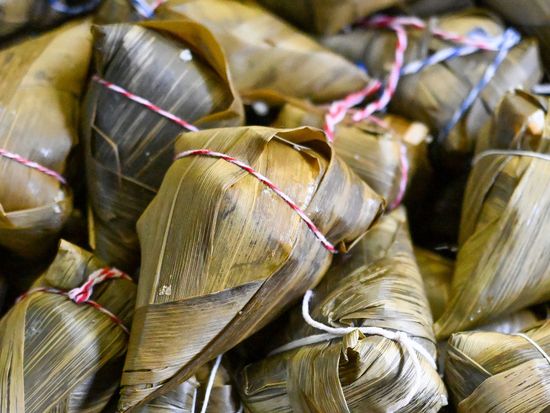 Ancient DNA traces origins of zongzi tradition