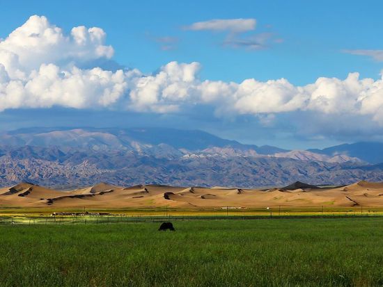 Gateway to Xinjiang: Hami expands its cultural profile through film and tourism