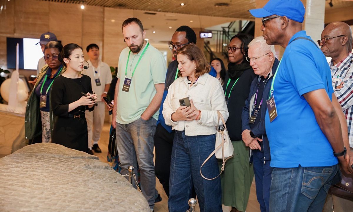 A delegation of officials and experts visits the Baiheliang Underwater Museum in Southwest China's Chongqing. Photo: Chongqing Luhai International Communication Foundation