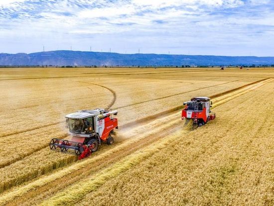 China's growing agricultural strength puts down strong roots for global food security