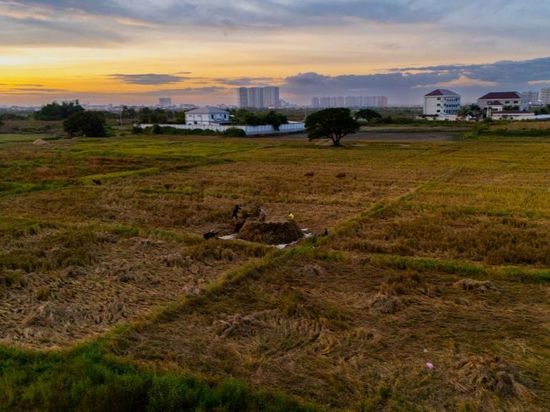 Laos earns over 750 mln USD from crop exports in first 5 months of 2026