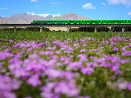 Lhasa-Xigaze bullet train ride passes fields of flowers and barley
