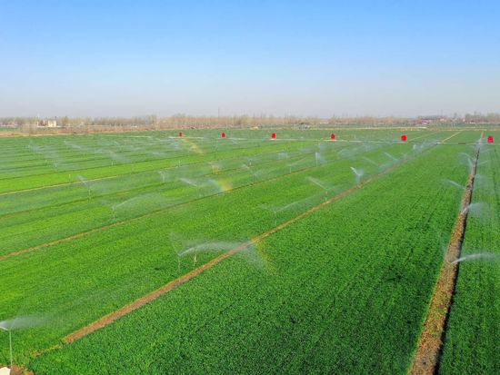 Technology transforms farming across China's fields