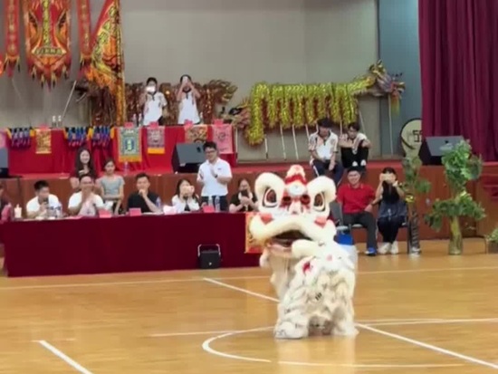 Lion dance brings cuteness overload