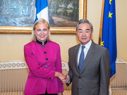 China ready to expand cooperation with Finland in green transition, AI: Chinese FM
