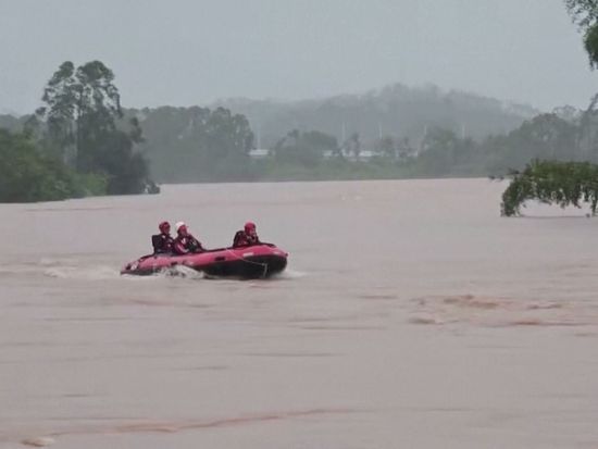 Hundreds of snakes escape flooded farm in south China's Guangxi