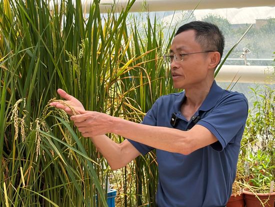 Shanghai boosts basic research, producing more original results