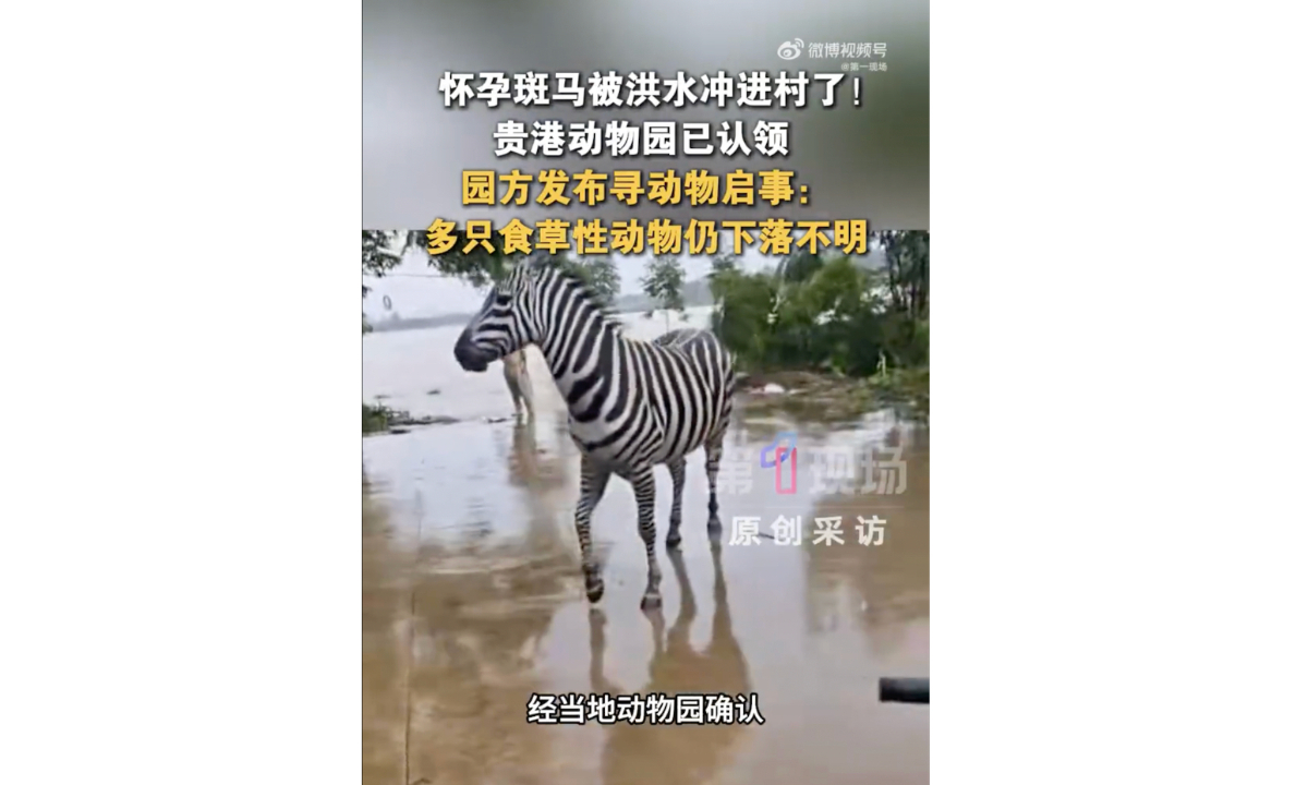 Photo: Screenshot from Sina Weibo