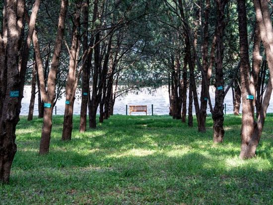 Turning pages into journeys: literature-inspired travel captivates young Chinese