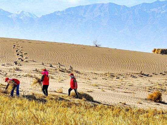 From early warning to global action: China advances science-based solutions to combat sand and dust