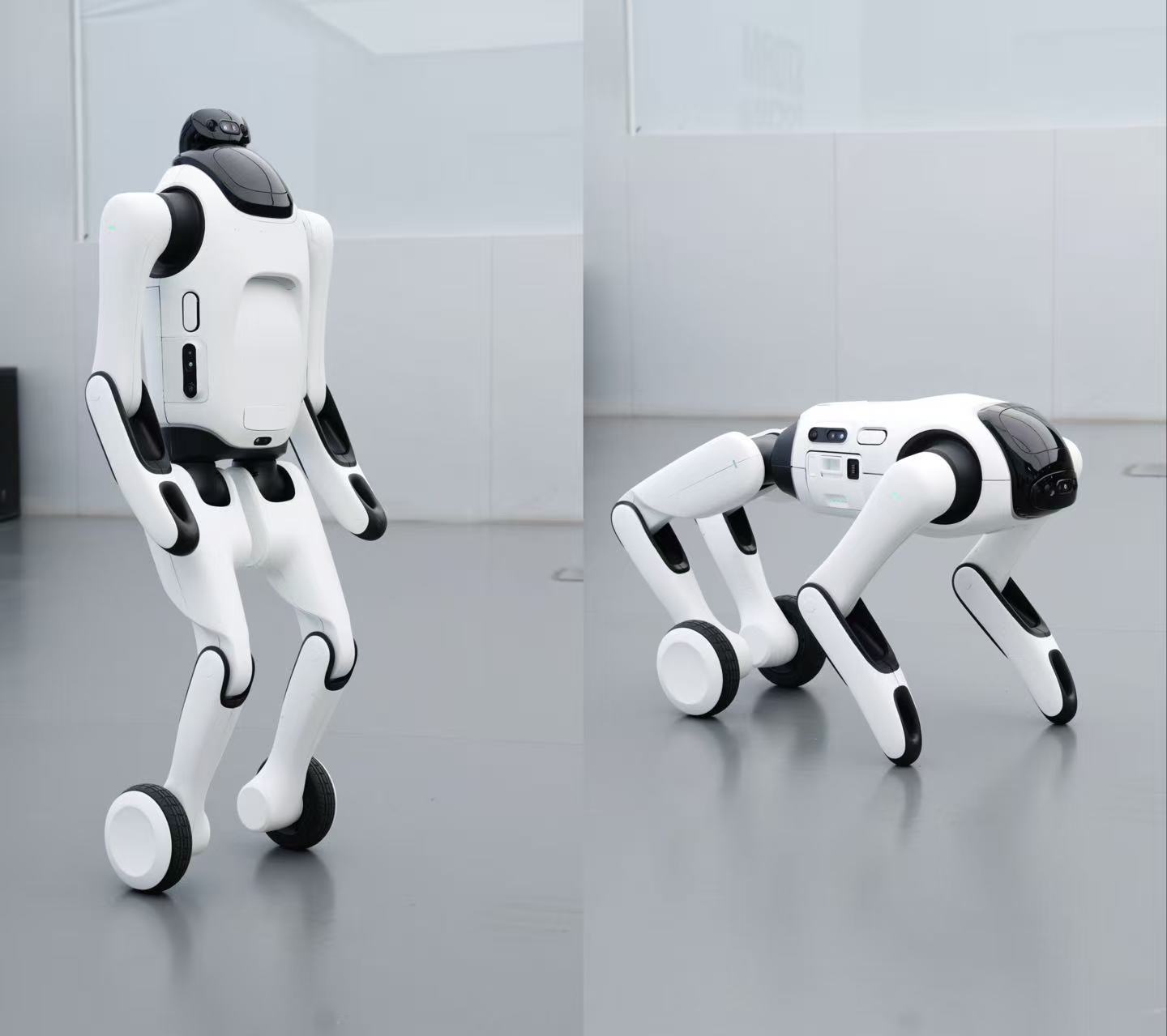The Quester1, a shape-shifting personal robot that can automatically switch between wheeled bipedal and quadrupedal forms, will debut at the 2026 World Artificial Intelligence Conference in Shanghai on July 17, 2026. Photo: courtesy of Swancor Advanced Materials Co