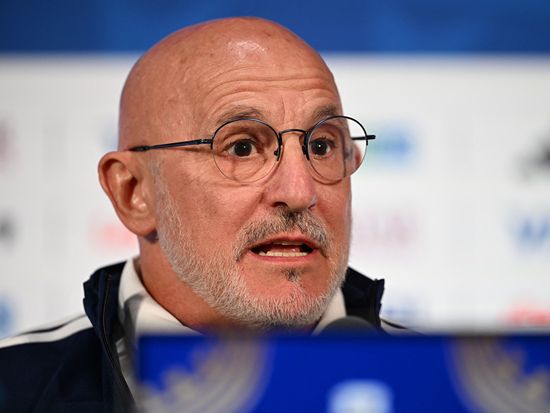 Spain to go on 'front foot' against France in World Cup semi: De la Fuente