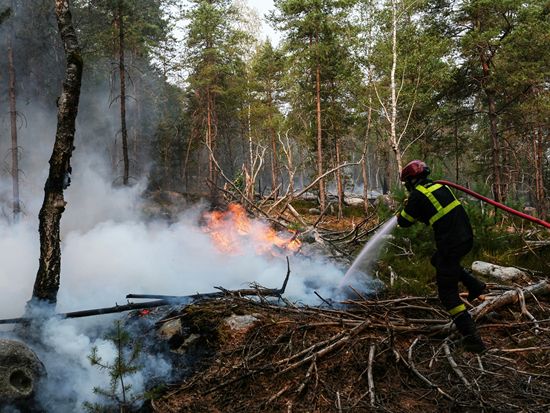 Fire ravages historic forest outside Paris