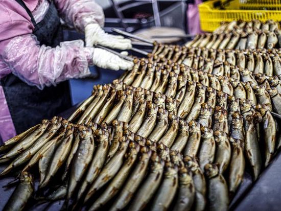 Egypt's annual fish output tops 2 mln tons in push for food security