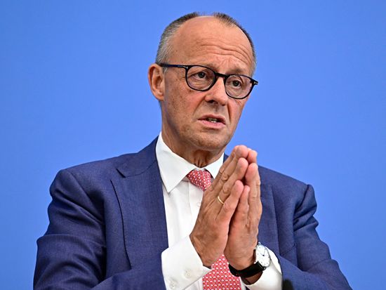 Merz says US should not interfere in German elections