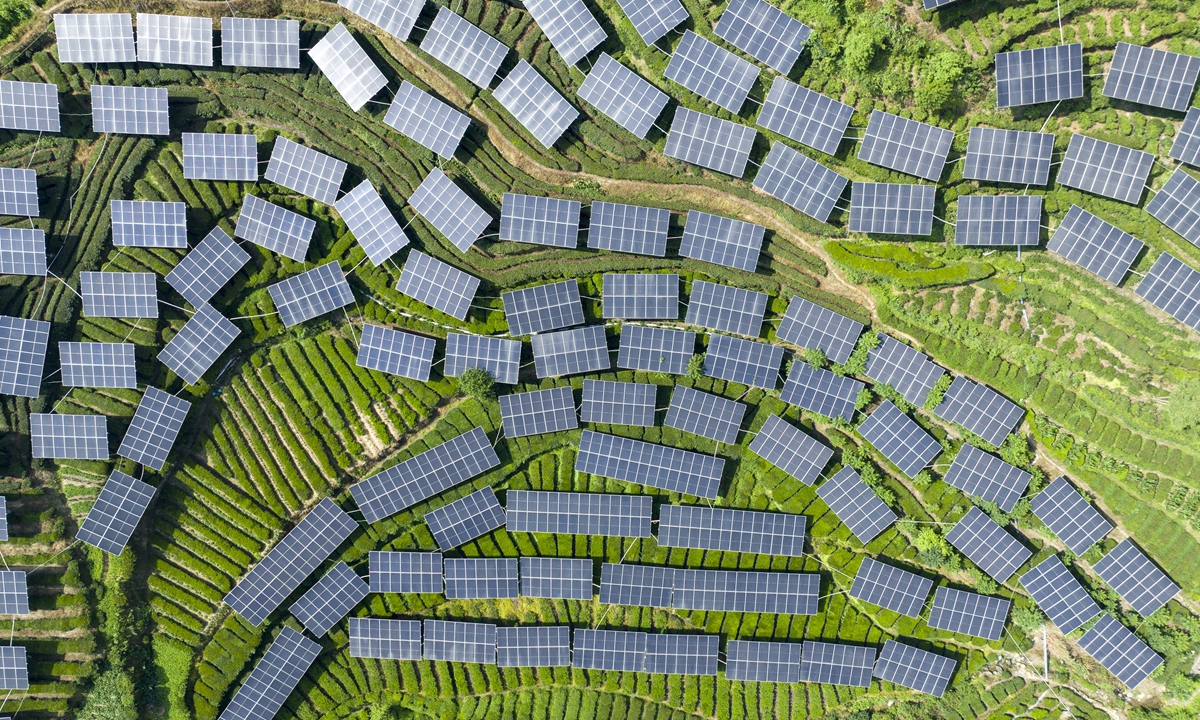 The photovoltaic (PV) panels in the tea fields deliver green electricity under the sunlight in Zigui county, Central China's Hubei Province. Photo: VCG
