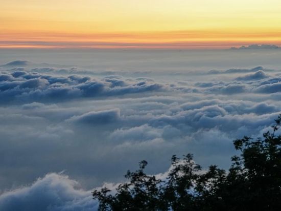 China's Mount Tai, South Africa's Table Mountain sign deal to deepen conservation cooperation