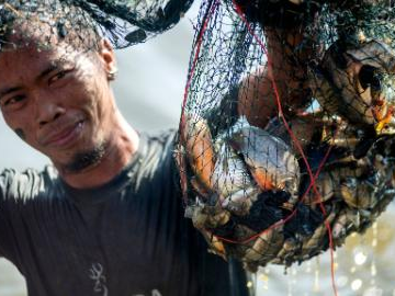 People attend Festival Memet Ikan in Indonesia
