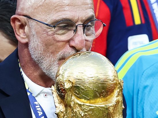 De la Fuente praises Spain unity after World Cup triumph