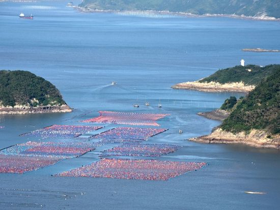 Rights protection in the Taiwan Straits a 'new normal': Hai Feng