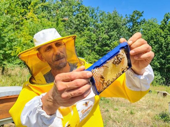 Türkiye's distinctive oak honey eyes sweet success in global niches