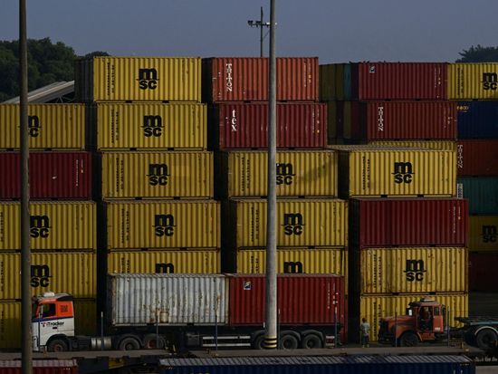 Brazil can skirt US tariff hike by turning to new markets, says expert