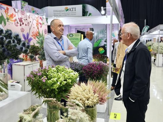 Ethiopia's annual horticultural export tops 490 mln USD