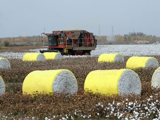 China urges US to remove unilateral tariffs under pretext of so-called 'forced labor'