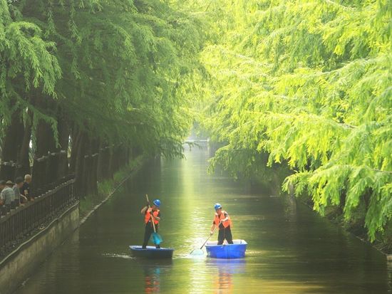 China readies for Ecological and Environmental Code rollout, as AI aids damage assessments: MEE