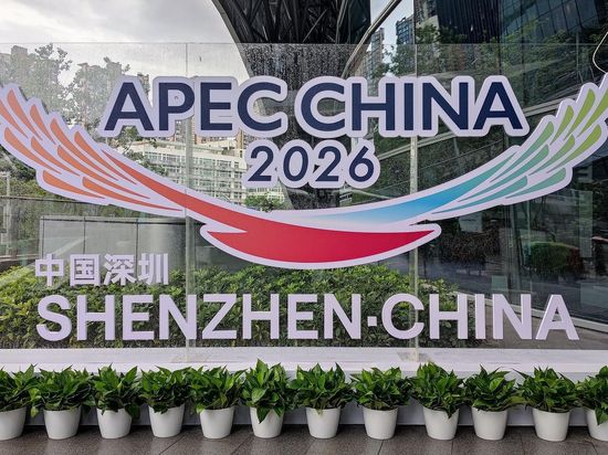 Chinese vice premier addresses APEC ministerial meeting on forestry