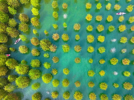 China's air, water quality improves in 1st half of 2026