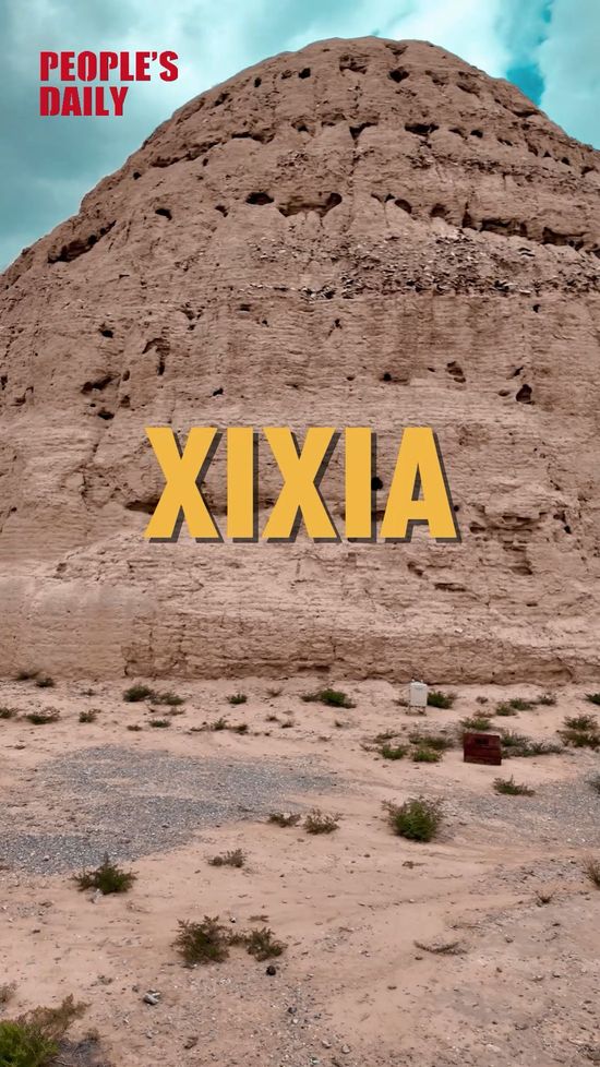 Whispers beneath the sand: the story of Xixia