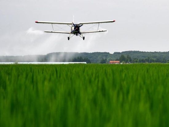 China unveils five-year plan to upgrade supply and marketing cooperatives for better rural services