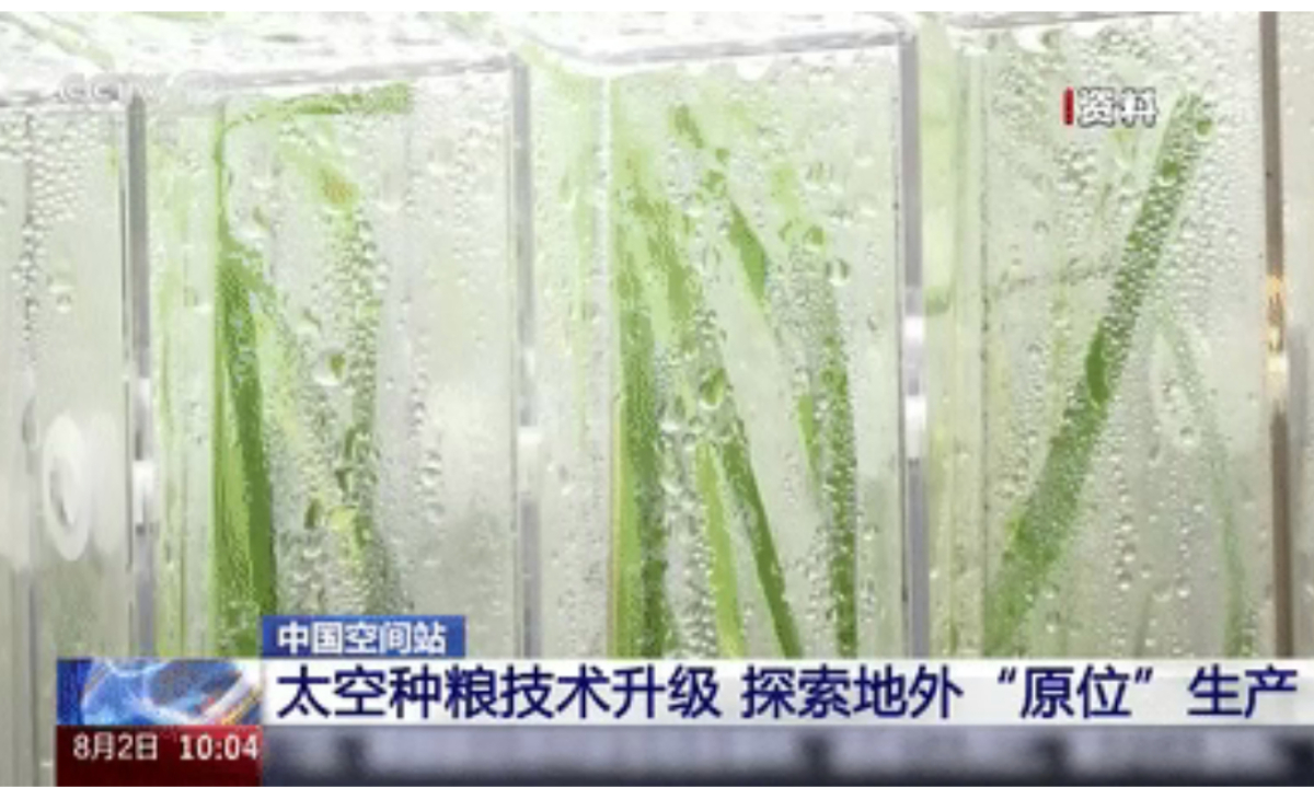 Photo: Screenshot from CCTV