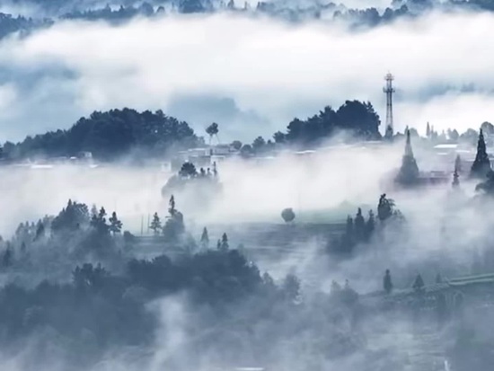 Tea mountains wake to mist