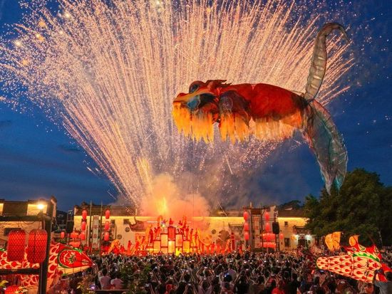 Dazzling fish lantern parade brings ancient villages in East China to life