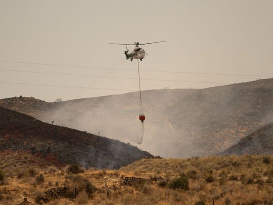 Spain deploys 275 firefighters to tackle Andalusia forest blaze