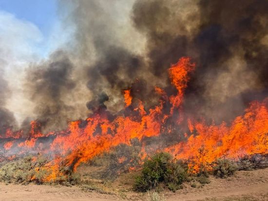 Firefighting helicopter crashes while battling wildfire in US Utah