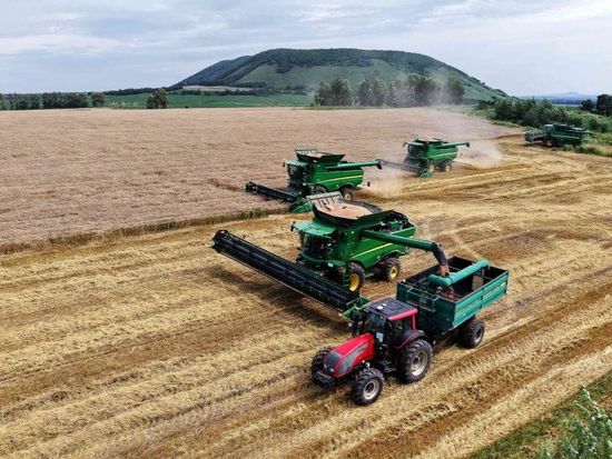 Wheat harvested in Heilongjiang, NE China