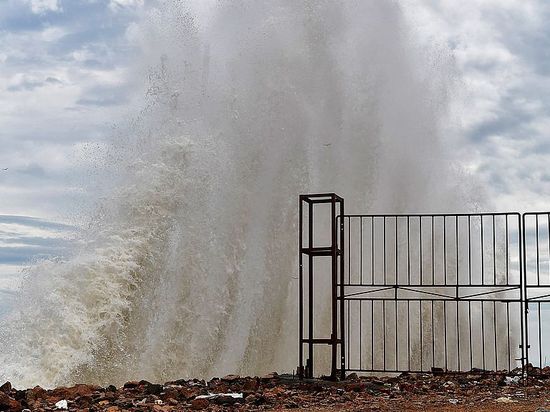 Typhoon Dolphin approaches China's eastern coast