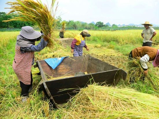 Agricultural products harvested across China