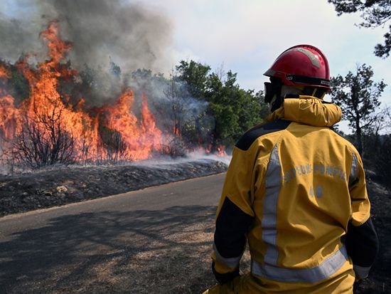 Over 200 firefighters battle blaze in southern France