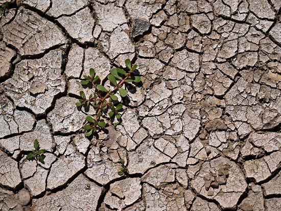 Global ocean temperatures hit record July high as El Nino develops: EU climate monitor