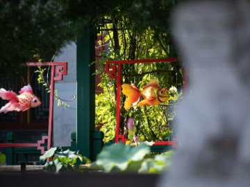 Goldfish exhibition opens at Prince Kung's Palace Museum in Beijing