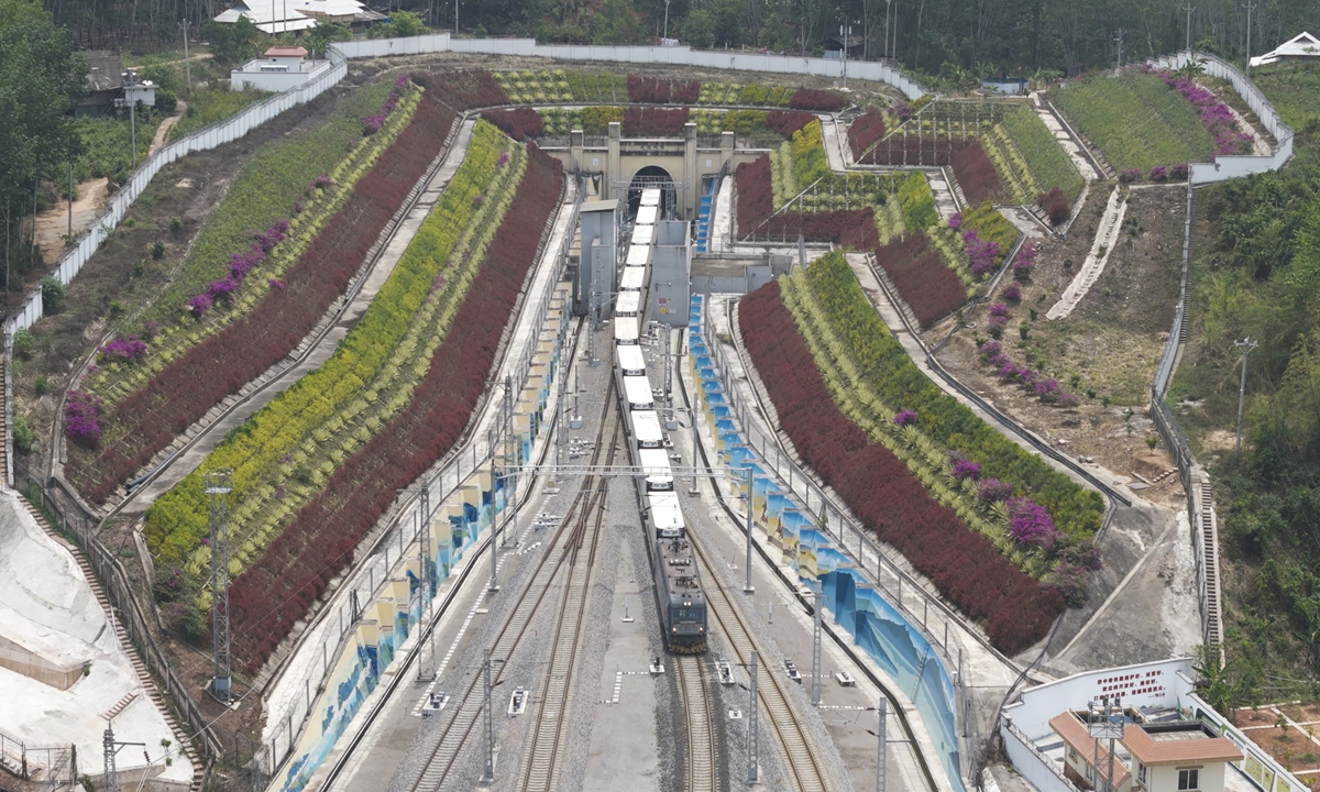 A cargo train runs along the China-Laos Railway. File photo: Courtesy of China Railway Kunming Group
