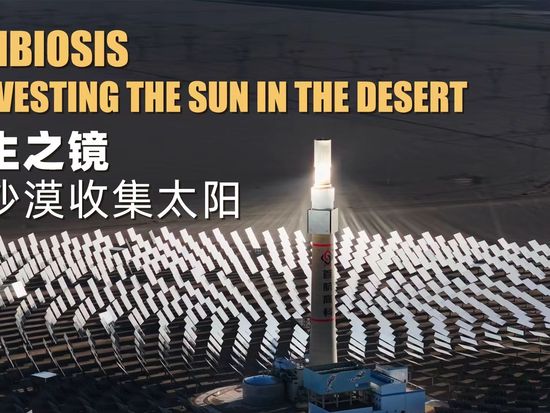 Symbiosis | Harvesting the Sun in the Desert