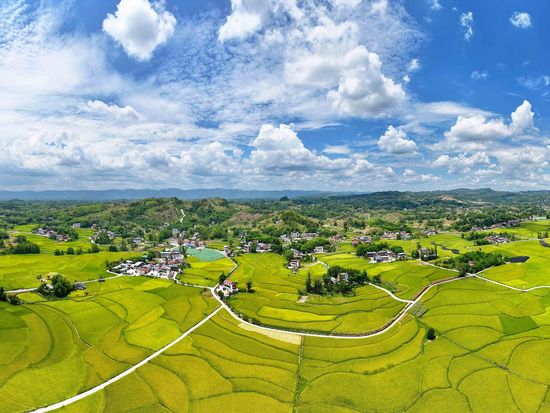 China's air, water quality improves in first seven months