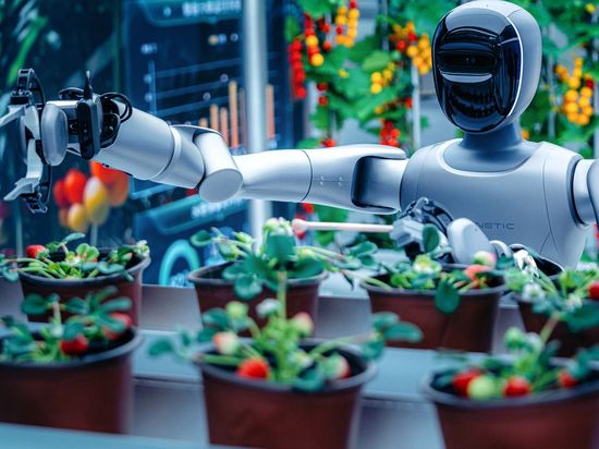 China advances global AI governance in a comprehensive manner